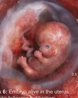 Every unborn child is a story of hope, a promise of tomorrow, and a reminder that life is a gift. Protecting them is not just defending the vulnerable—it is defending our future. Stand for life. Stand for hope.