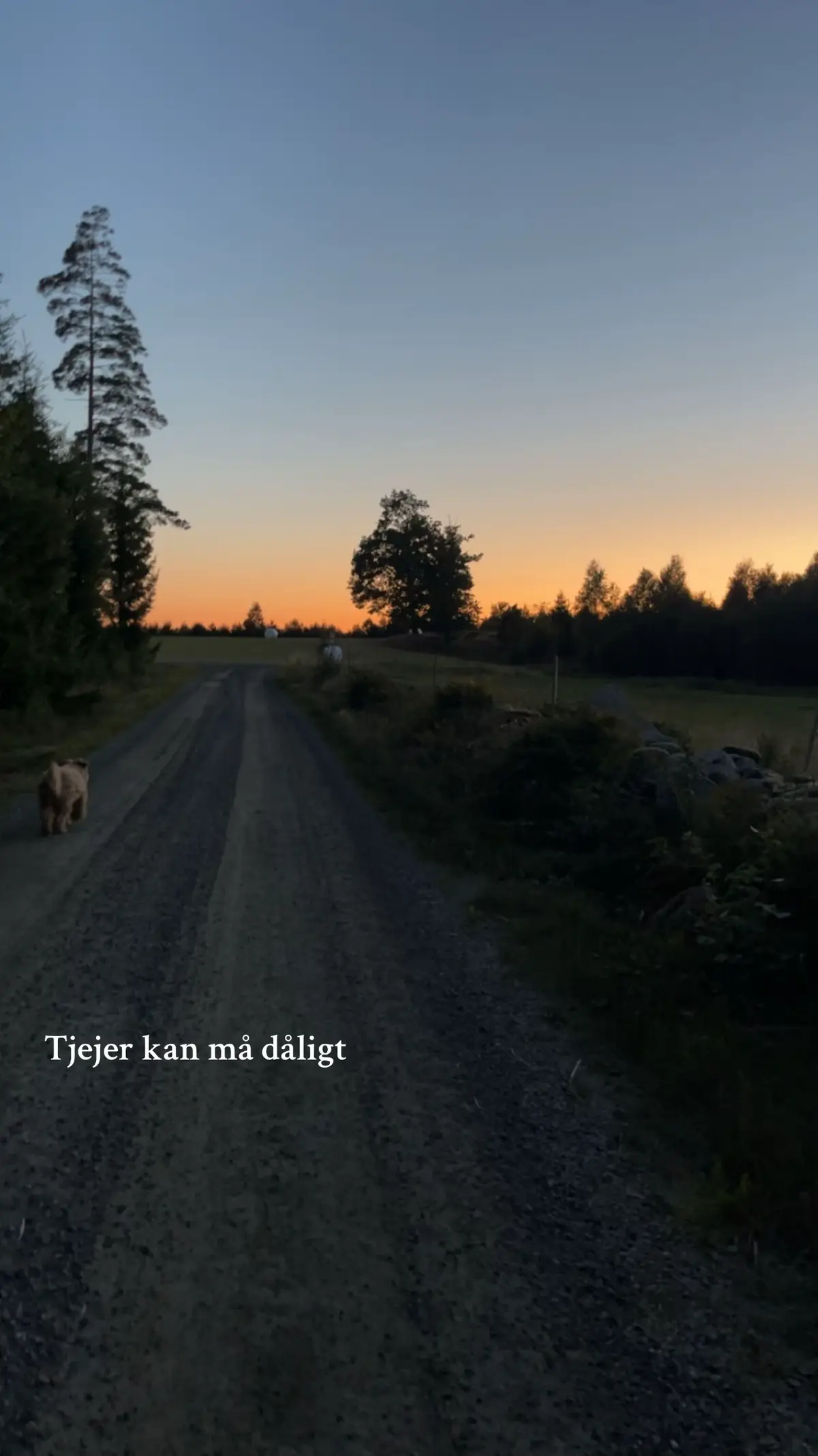 #bonnatös #bonde #småland #