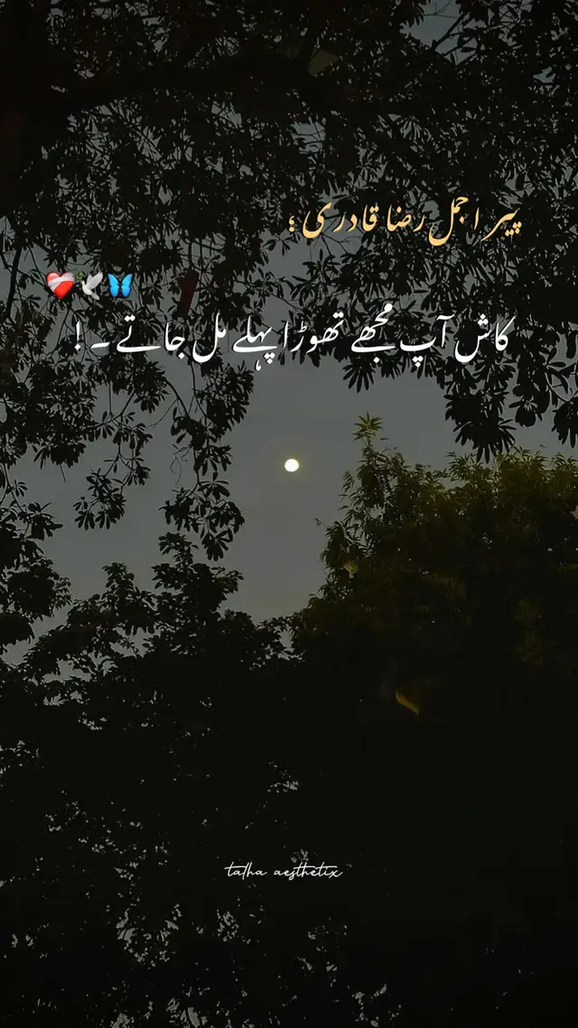 کاش آپ مجھے تھوڑا پہلے مل جاتے 🫀🥺🕊️ #foryoupage #viralvideo #islamic_video #poetrystatus #asesthetic_tahu903 