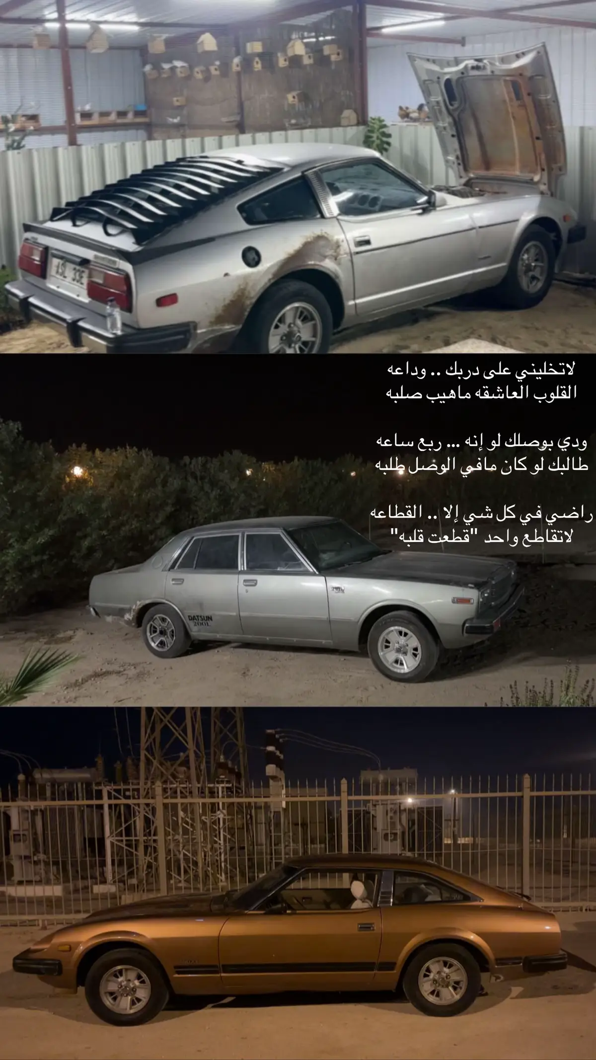 #الشعب_الصيني_ماله_حل😂😂 