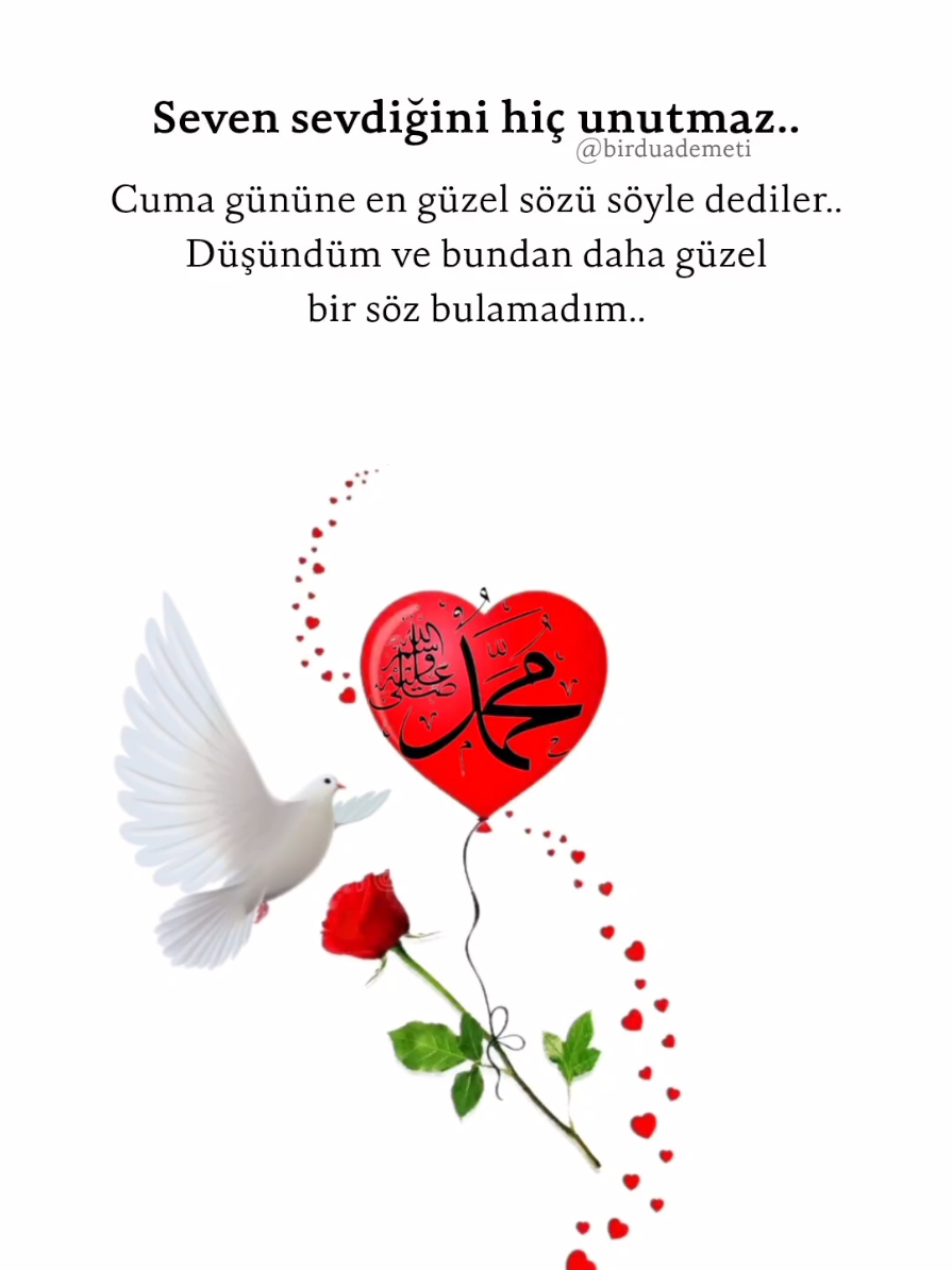 🤍 Seni sevmek ibadettir efendim.. Allâhümme salli alâ seyyidina Muhammedin ve alâ âli seyyidina Muhammed.❣️🌹