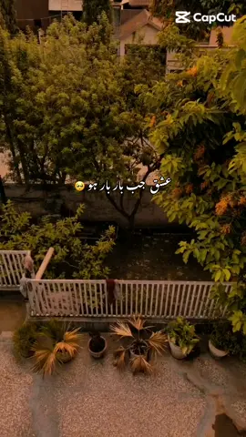 Ishq malang✨ #fypシ #trending #fypシ゚viral #fypage #tiktok 