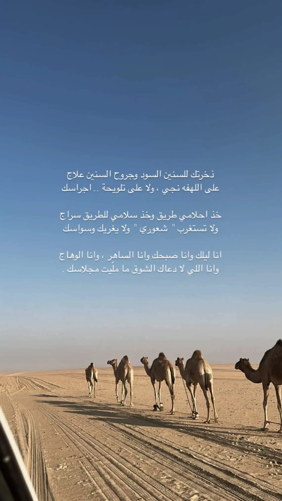#fypシ #اكسبلورexplore #اكسبلور #هجن #الطايف #نجران 