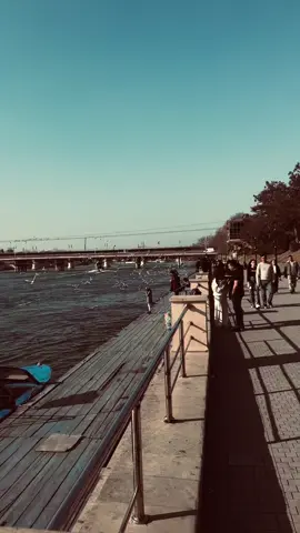 Bəzən insanın içində elə bir fırtına qopur ki, səsi kənara çıxmır, amma içini parçalayıb külə çevirir, sən də sanki o külün içində özünü tapmağa çalışırsan. Ürəyin elə dərindən yaralanır ki, artıq gülüşlərin belə sadəcə üzündə qalan bir maska olur, içində isə səssiz fəryadlar boğulur. Xoşbəxtlik bir zamanlar əlinin içindəymiş kimi yaxın gəlirdi, amma indi uzaq üfüqlərdə itib batmış bir işıq kimi yalnız baxıb həsrətini çəkə bilirsən. Gecələrin qaranlığında sənə yoldaş olan yalnız xatirələrdir – sən isə hər xatirədə bir az da sınır, bir az da qırılırsan. İnsanlara baxanda gülən üzlər görürsən, amma içindəki boşluq sənə qışqırır ki, “sənin gülüşlərin çoxdan ölüb”. Bir vaxtlar ürəyinin qapısını sevgi üçün açmışdın, amma indi həmin qapı sınıqdır, pas içindədir, çünki gələnlər sevgi yox, xəyanət, soyuqluq, laqeydlik gətirib. Həyat sanki səninlə oyun oynayır – hər dəfə ayağa qalxanda bir zərbə də vurur, ta ki, sənin ruhunu əzib ümidlərini boğana qədər. Sən bir zamanlar işıqa doğru gedən yolçuydun, indi isə qaranlıq səni udub, yollarını bağlayıb və sən yalnız qəlbindəki yaraların ağrısını daşıyaraq addımlayırsan.)) #########fyppppppppppppppppppppppp 
