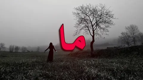 لا تبجيلي ما أريدك! #زيد_البشير #creatorsearchinsights #foryoupage #vtrio #ترند_تيك_توك 