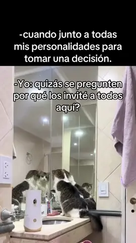 Y tomar la decisión equivocada es mi pasión 😼🤌🏻 #humor #meme #❤️ #tiktok #video 