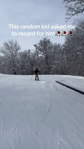Just quit after that brethren 😭😭😭#ski #fail #funny #fall #fyp 
