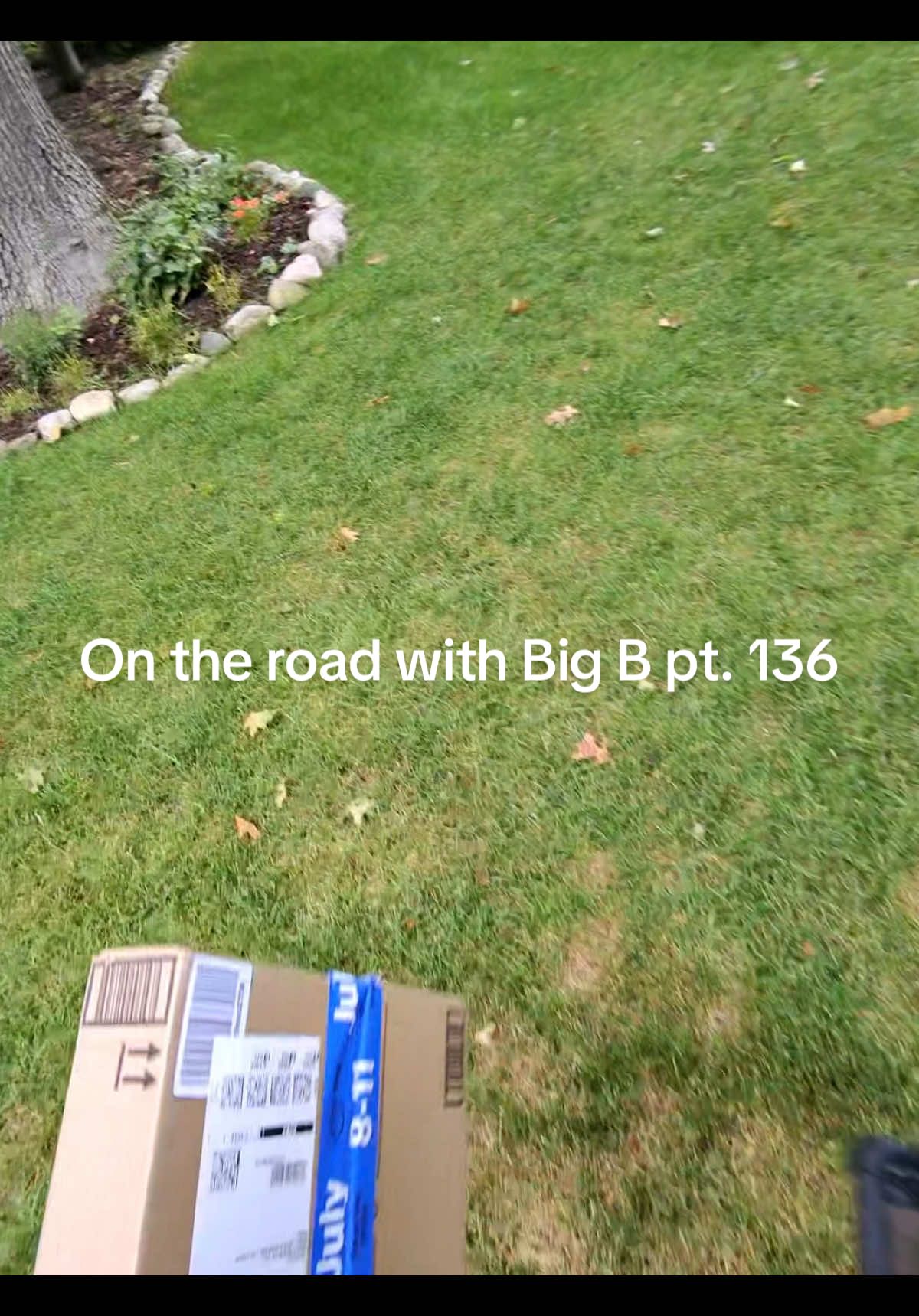 Everyday I look for these puppies and they are never out 😭 who else talks to the ring cameras?😂#foryoupage #amazondriver #metaglasses #dogsoftiktok 