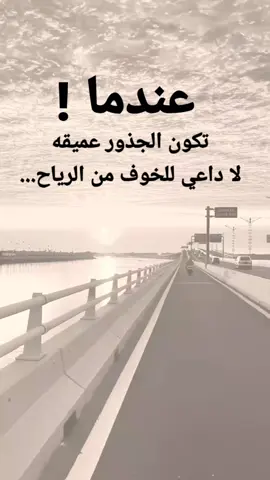 #مقتبسات من الحياة. عندما ! ،  تكون الجذور عميقه لا داعي للخوف من الرياح...#كلمات_من_القلب #كسبلور 