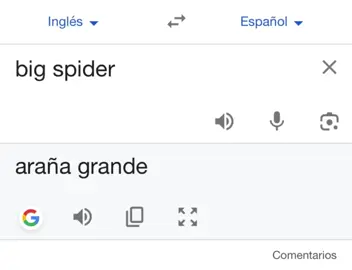 araña grande 🗣️ #arianagrande #arianators #xybca #buteragrande #paratiiiiii 