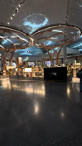 #istambul #istambulairport🛬🛬 #airport #turkish #summer2025🌴☀️ 