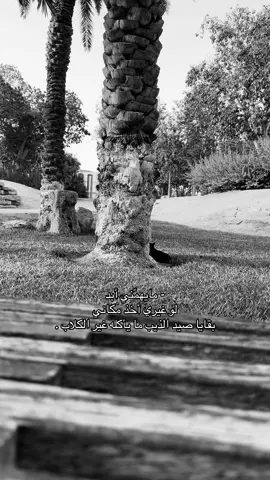 #ارب_قلبك_مانسى_الود #تصويري📷 #اكسبلورexplore #شيلات #عبدالله_ال_فروان 