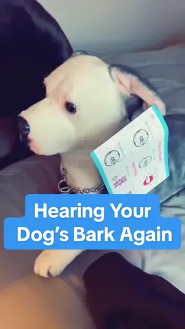 A special and unique way to honor your soul dog. You can even add the sound of their bark 🥺💙🐾 #customstuffedanimal #dog #dogsoftiktok #petloss #grief #dogdad #pitbull 