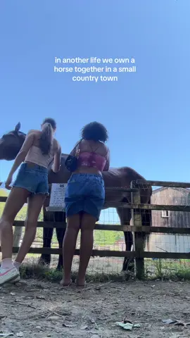 can’t go to therapy? pet a horse with your best friend instead<3 @yoma #horse #bestfriend #farm 