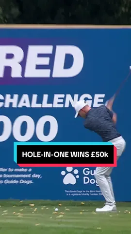 Ace wins £50,000 for Guide Dogs charity 👏 #golf #holeinone #golftiktok 