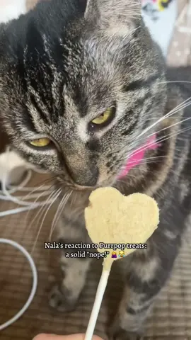 Looks like we will be sticking to her favourite treats for now 🤣  #fussycat #cat #cattreats #bonkers #girlcat 
