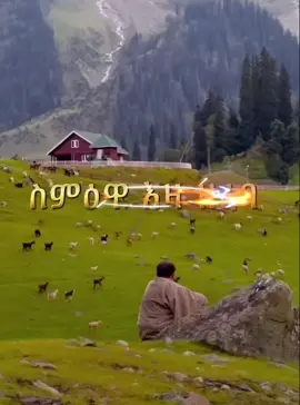 ኣሜን 🙏