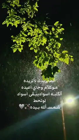 #CapCut #المايريدك_لاتريده #تصميم_فيديوهات🎶🎤🎬 #شعب_الصيني_ماله_حل😂😂 #شروحاتي🎀🖇️ 
