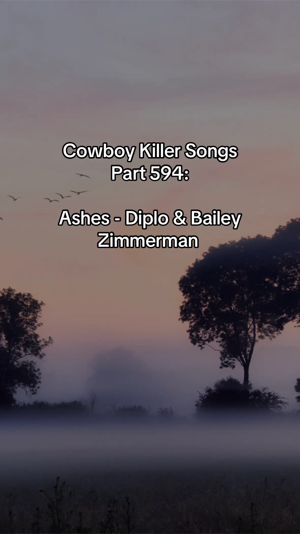Almost Friday! - @Bailey Zimmerman @Diplo #baileyzimmerman #diplo #baileyzimmermanmusic #newmusic #lyrics 