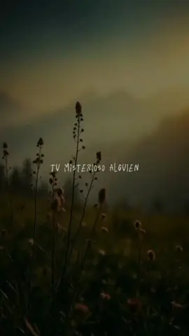 Tu misterioso alguien 🥀🥲 @Miranda! #miranda #tumisteriosoalguien #song #music #sweetmelody #lyricsvideo #xzybca #canciones #letradecanciones #viral_video #lyrics #paradedicar #Amor #desamor #video #foryou #foryoupage #fyp #paratii 