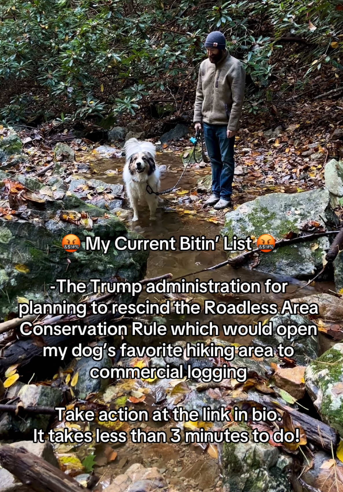 ‼️ Take action with at the link in bio‼️ The Roadless Area Conservation Rule has protected over 58 million acres of national forest from road construction and most commercial logging activity for nearly 25 years. In late June, the Secretary of Agriculture Brooke Rollins announced she would be overturning this rule in order to expand resource development on federal public lands. Our voices are the reason the public lands sale was removed from the federal budget bill. Let’s do it again to keep the Roadless Rule in place!