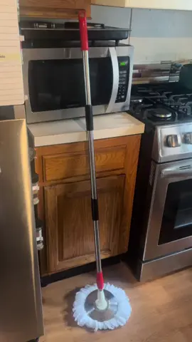 Long mop