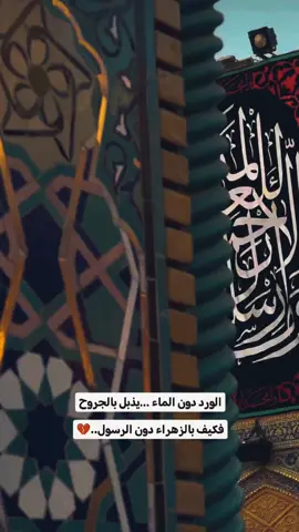 #المام_علي_عليه_السلام 