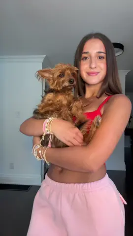 #dogs #dogsoftiktok #lipsync 