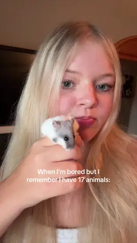 4 chickens 1 dog and 2 cats are missing but this is most of them😭 #animals #pets #animallover #hamster #chickens