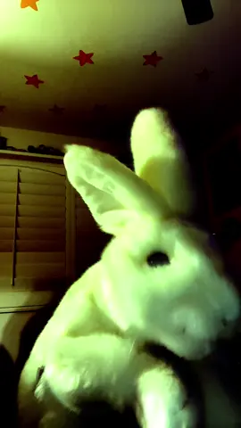 ⫘⫘⫘⫘⫘⫘ the animal i’ve become ⫘⫘⫘⫘⫘⫘ #metal #bunny 
