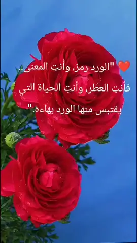 #عوض_ينثر_الورد#الشعب_الصيني_ماله_حل_#طبيعة جمال_الطبيعة_مناظر_خلابة #هدوء_روقان_#explore 