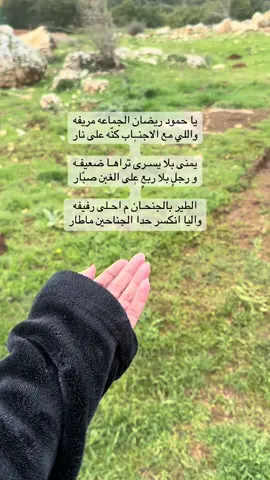 #اكسبلورexplore #مالي_خلق_احط_هاشتاقات 