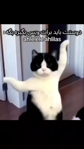 #فوریو 