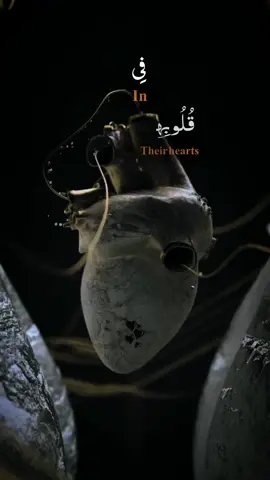 #في_قلوبهم_مرض_فزادهم_الله_مرضا🖤✋👌 #يارب❤️ #قران #ايات_قرانيه_تريح_القلب @قُرْآنُ كَرِيمُ✨🖤 @꧁ قــرآن كــريــم ꧂ 