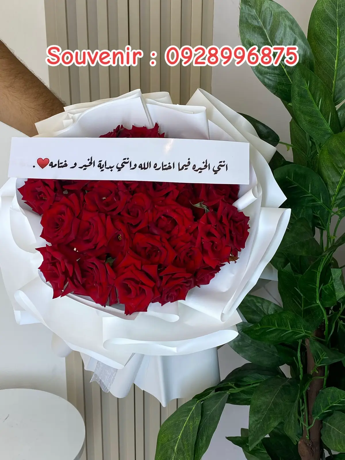 ليثي شارع الخليج :0928996875 #شعب_الصيني_ماله_حل😂😂 #حب #ليبيا #بنغازي_ليبيا🇱🇾 #foryou #مالي_خلق_احط_هاشتاقات #بنغازي_طرابلس_ترهونه_رجمة_سرت_ #خطوبة #ورد #ردادة_صداق #تخرج #كربلاء #جو #ليبيا 