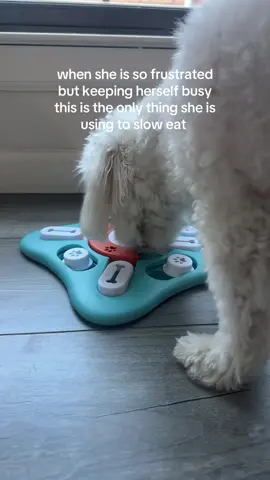 One of the best product for your fu baby for slow eating interactive puzzle #sloweatingpuzzle #interactivepuzzles #interactivepuzzlefordogs #dogtoys #puzzlefordog 
