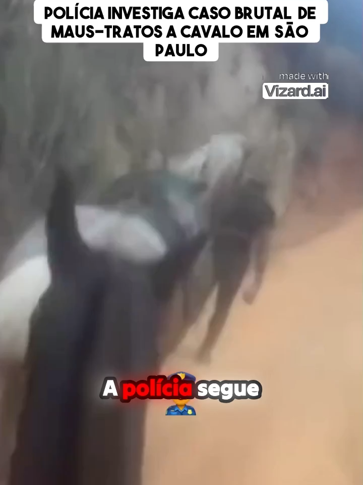 Polícia investiga caso brutal de maus-tratos a cavalo em São Paulo #maus tratos ao cavalo#jovem confessa corta patas do cavalo#animal e maltratado