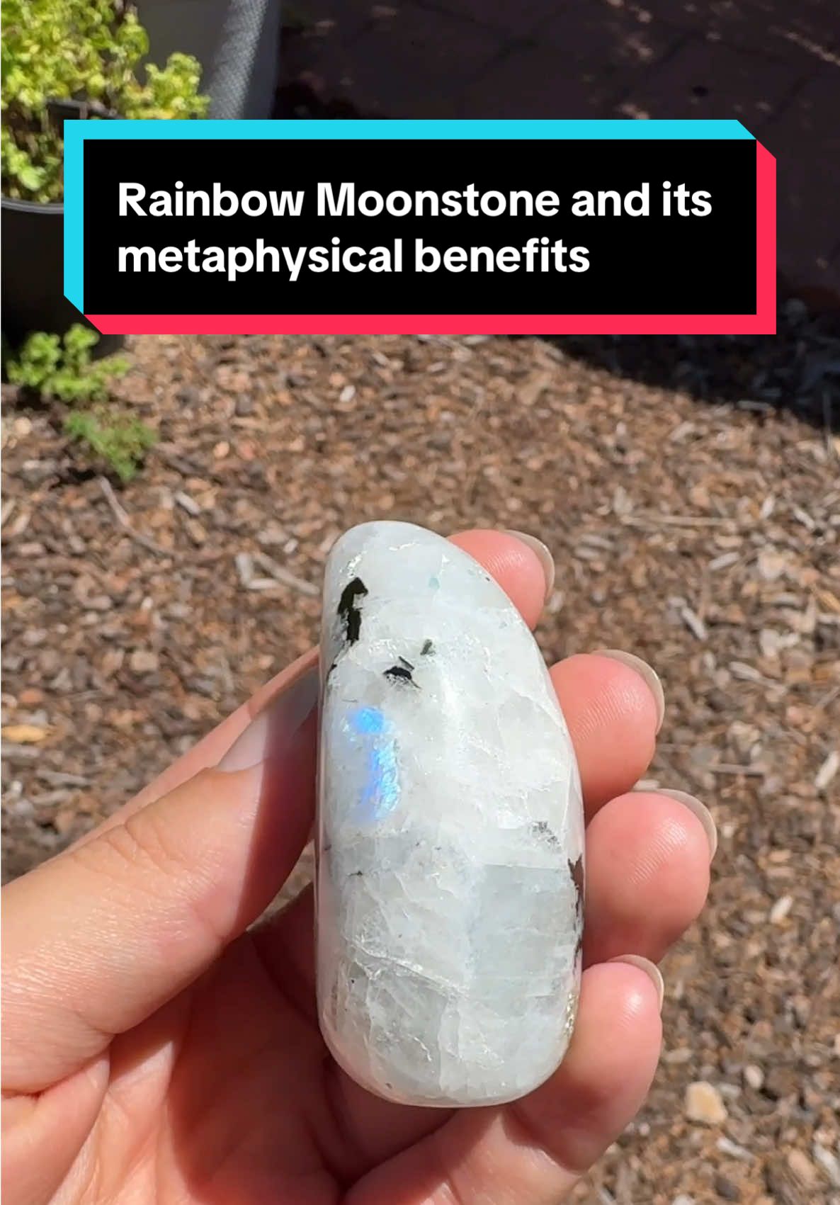 These are some helpful benefits of working with Rainbow Moonstone! It is one of my favorite stones to help break repeated habits. #altdreamscapes #crystalswithismael #thiscrystalisforyou #rainbowmoonstone #crystals 