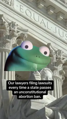 If you passed a ban that goes against your state’s constitution, just know our lawyers don't get tired of filing lawsuits! 
