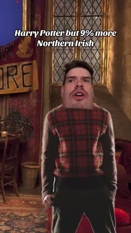 #harrypotter #northernireland #comedy #parody #johndevlin 