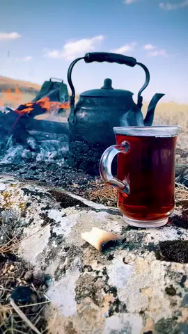 Her şey söylenmez ki türkü açılır çay demlenir…..