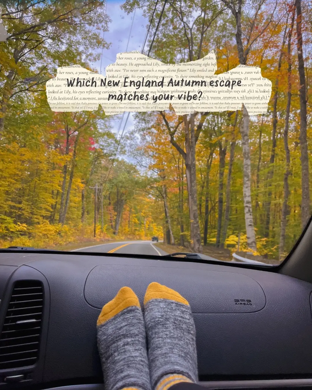 I think this year, I’m a solid 1. Give me all the moody days with cozy town feels, small walks in the woods, accompanied by a maple coffee in a cute cafe ☕️🤎 Here are a few towns we’ve been to that I’d definitely recommend in Vermont and New Hampshire: - littleton, nh - stowe, vt - manchester, vt - franconia, nh P.S. it’s looking like peak foliage is looking like it’s going to hit anywhere from the first to second week of October so book your trip now!