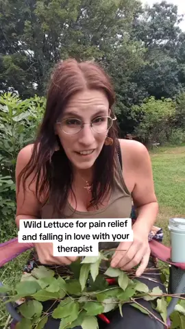 #tiktoklive #livehighlights Just chatting about herbs and mental health #herbalist 