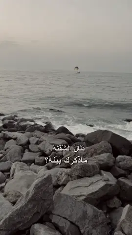 🌊.                   #محمد_عبد_الجبار #تصويري #شعروقصايد #fipシ #العراق🇮🇶 