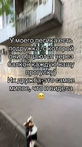 Он каждый раз ищет ее взглядом, а когда находит очень долго что-то рассказывает🥹🥹🥹 #рекомендации #вреки #cute 