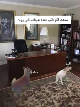 تريد تضحك؟! تابعني وتابع هاذا الحساب @M  #متابعه_لايك_تعليق#شعب_الصيني_ماله_حل #شعب_الصيني_ماله_حل #ميمز#قوالب_كاب_كات 