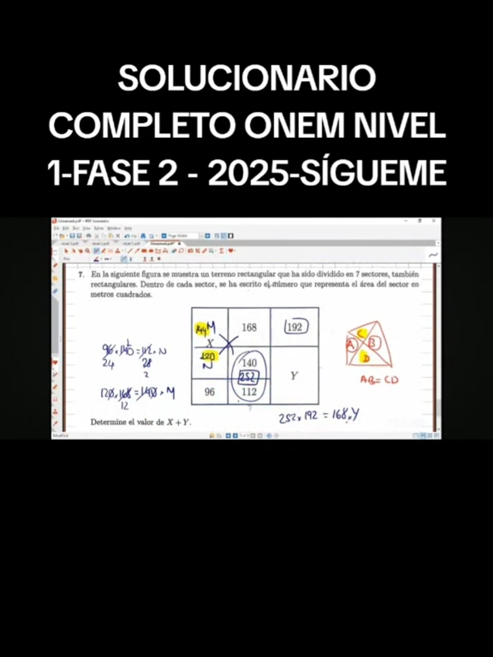 solucionario completo onem 2025 nivel 1 fase 2 #solucionario #onem #nivel1 #paratii #viral onem 2025