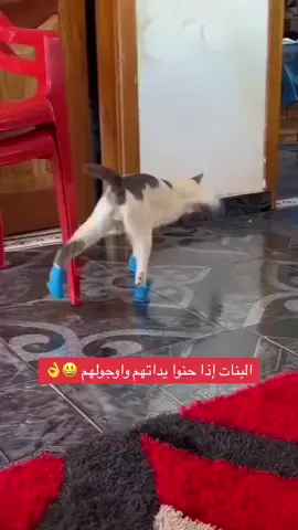 #ههههههههههه 