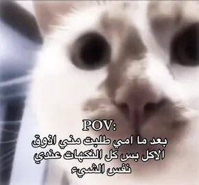 #سالم🇸🇦_ 
