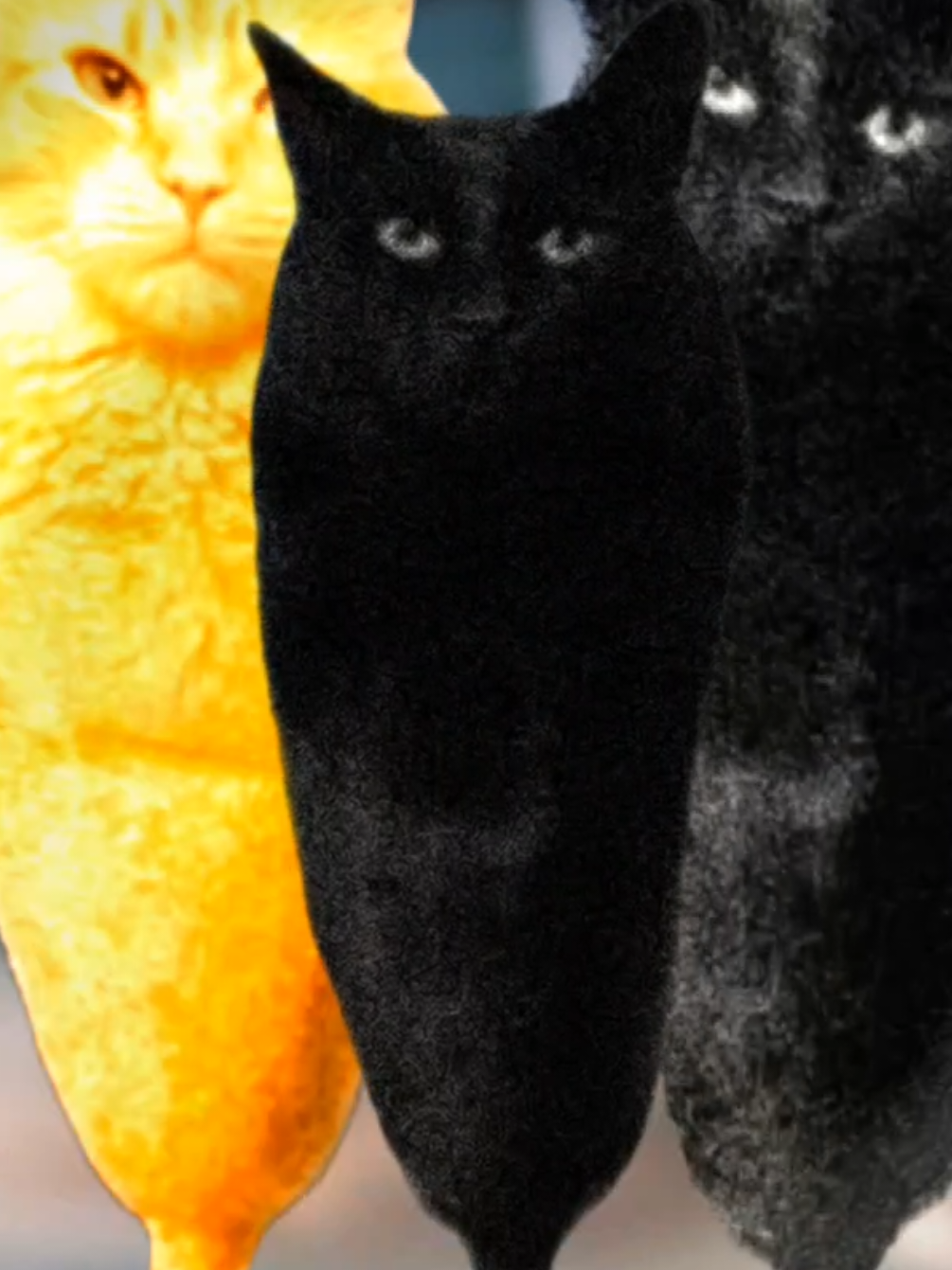 ok? #ok #pigeon #brainrot #corndogcat #ahhdoctor